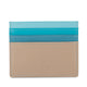 Credit Card Holder